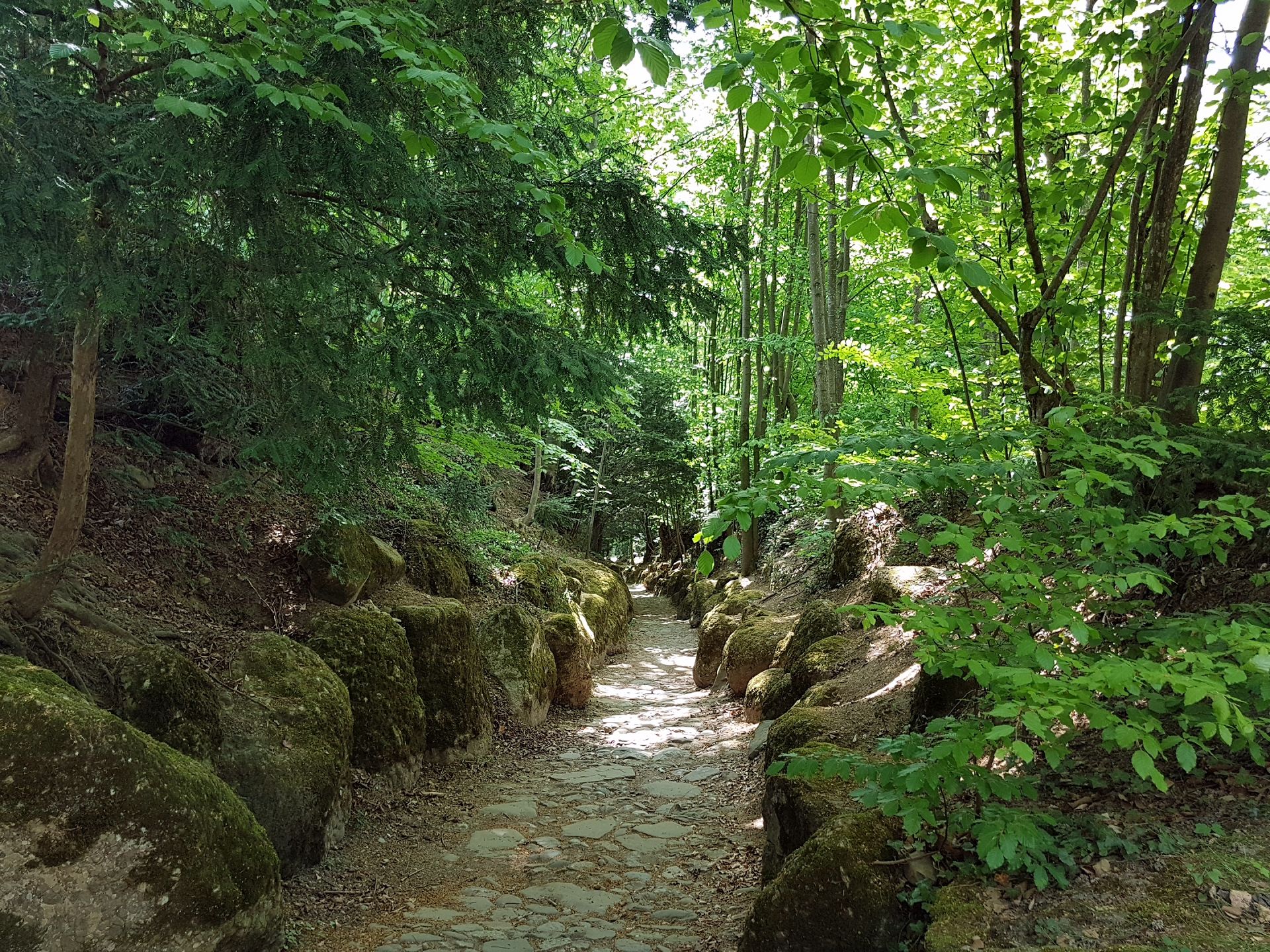 Küssnacht